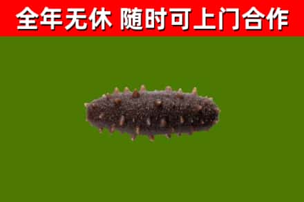 朝天区烟酒回收干海参.jpg