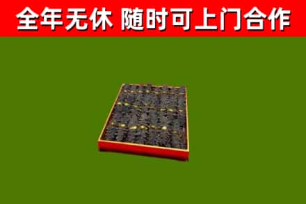 朝天区回收海参